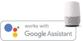 Google Assistant